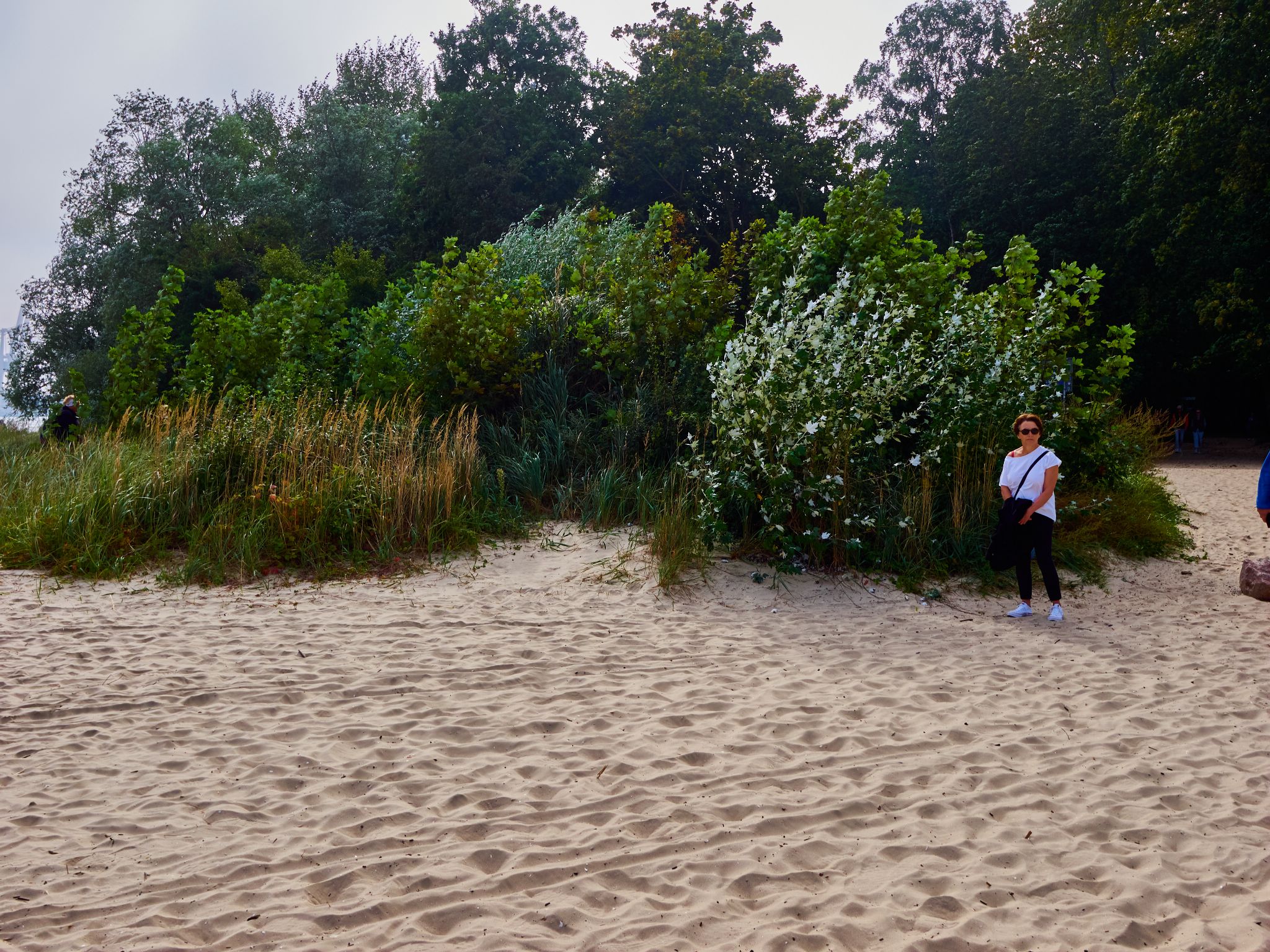 Landschaft 2024  1827 Usedom